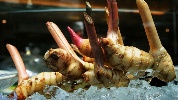 Galangal Root: Uses, Benefits, and Side Effects