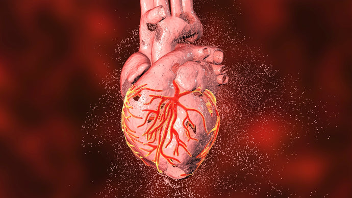 Coronary Heart Disease: Symptoms, Risk Factors +7 Tips to Improve Heart Health